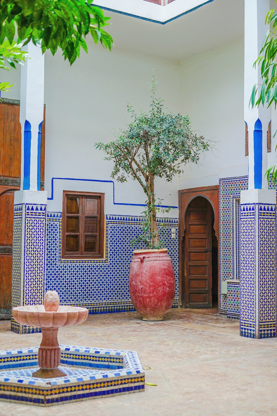 Plante en pot devant une porte